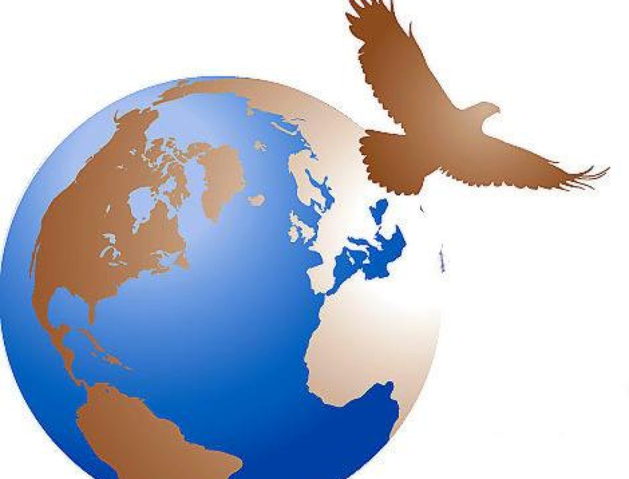 animated_earth_bird